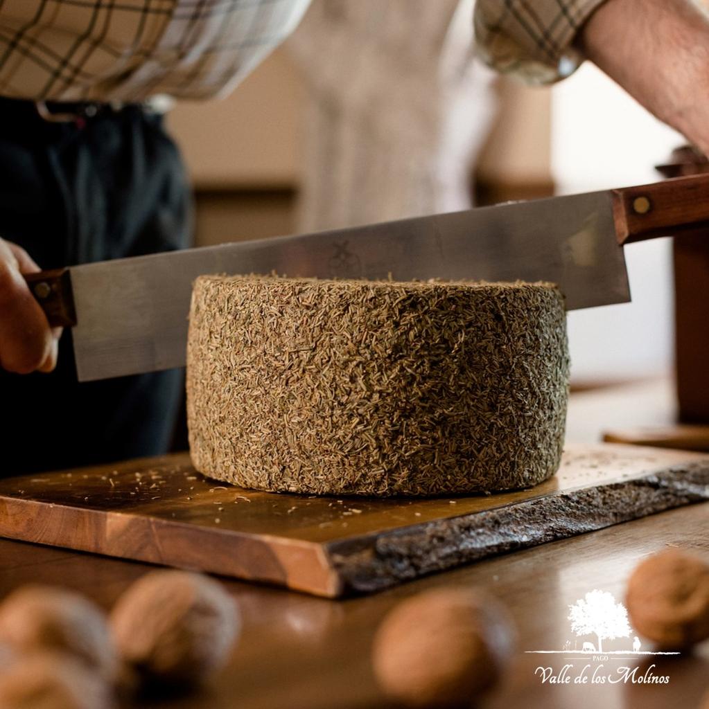 TARRO QUESO CURADO CON ROMERO PAGO VALLE DE LOS MOLINOS